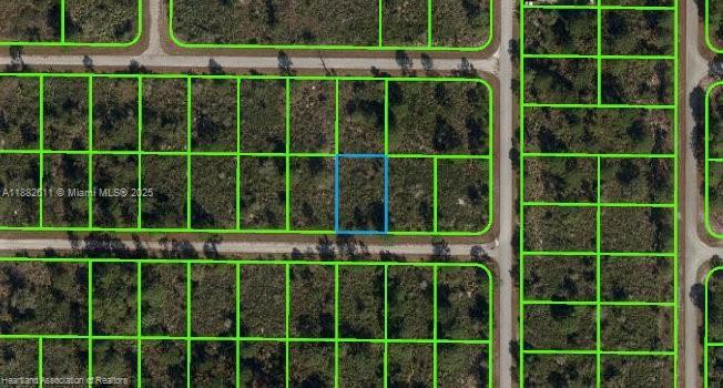 PLACID LAKES UNITS 19-25 - Land