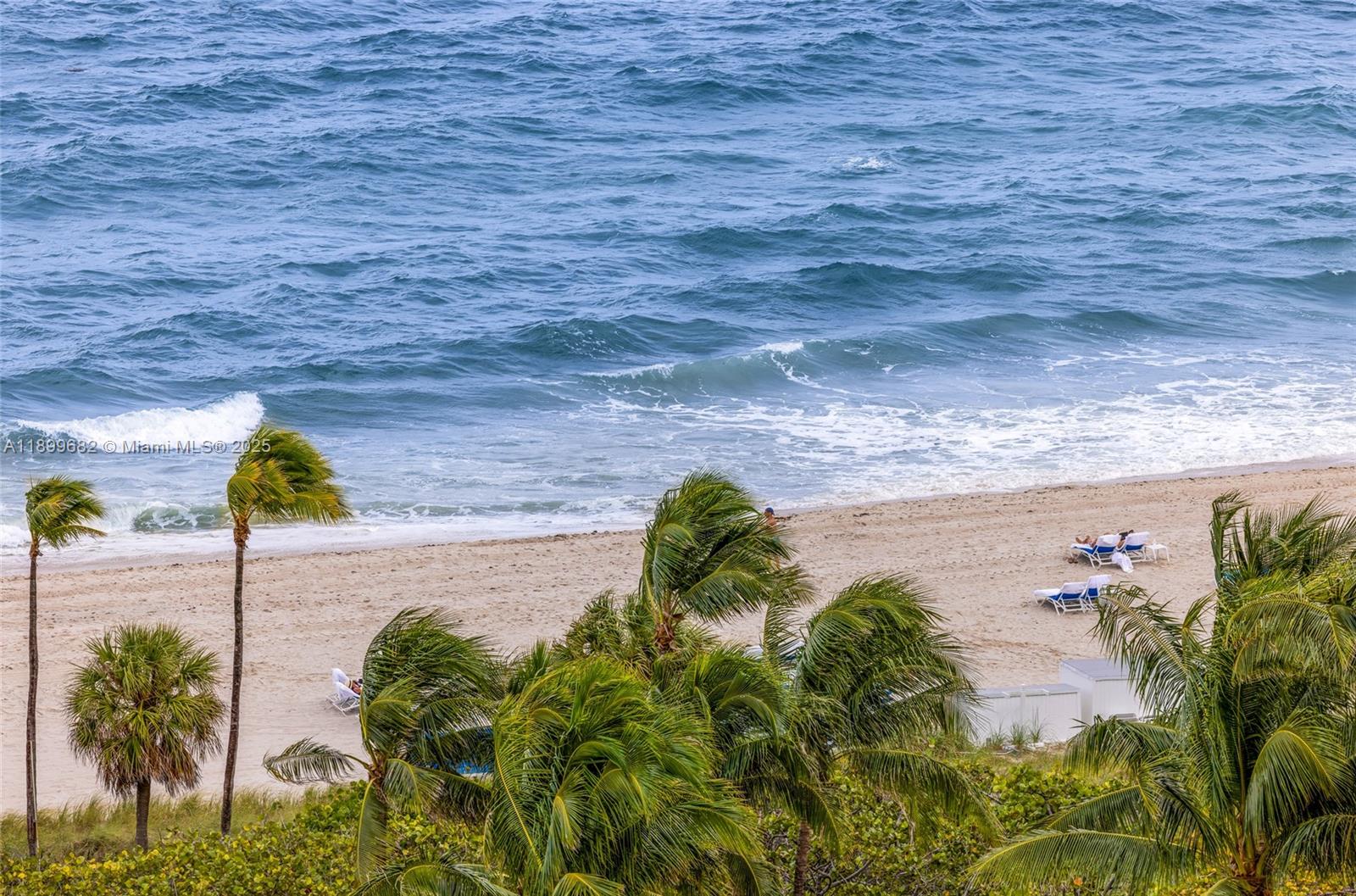 BALMORAL CONDO - Residential Lease