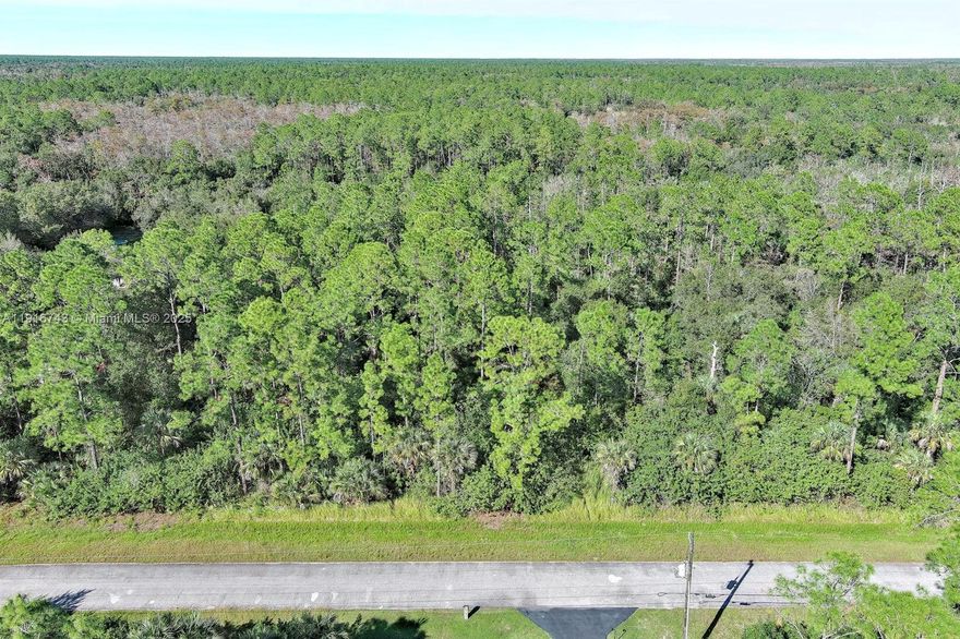 Build your dream home on this beautiful 1.14-acre vacant lot located in Naples! Situated in the desirable Golden Gate Estates, this spacious property gives the perfect blend of privacy, tranquility, and convenience. Enjoy plenty of room for a custom home, guest house, workshop, or outdoor living spaces—plus the freedom of no HOA restrictions. Surrounded by lush natural landscape and large estate-style properties, this lot provides a peaceful rural feel while still being just a short drive from shopping, dining, top-rated schools, and the stunning Gulf beaches. Whether you’re looking to build or invest, this expansive parcel presents an excellent opportunity in one of Naples’ fastest-growing areas.