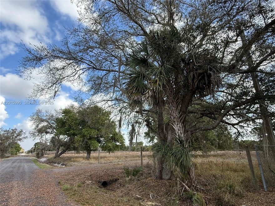 SELLER FINANCING!! An incredible opportunity to acquire 2.5 acres of cleared land—complete with an existing driveway—featuring beautiful oak trees in a quiet area of ??Montura Ranch Estates. This vacant lot is situated at the end of the street, offering enhanced privacy and ample space for building or investment purposes.

It is an excellent choice for placing a mobile home or for building the home of your dreams—whether in a ranch, farmhouse, or hacienda style. You can keep farm animals, plant a vegetable garden or fruit trees, and enjoy the tranquility of the countryside—the possibilities are endless.

Excellent Location:
Less than 10 miles from the new Airglades Airport
Approximately 1 hour and 15 minutes from Weston
75 miles from Weston
65 miles from Naples
50 miles from Fort Myers
20 miles from LaBelle
15 miles from Clewiston

This property is ideal for investment, future development, or for living away from the noise of the city.