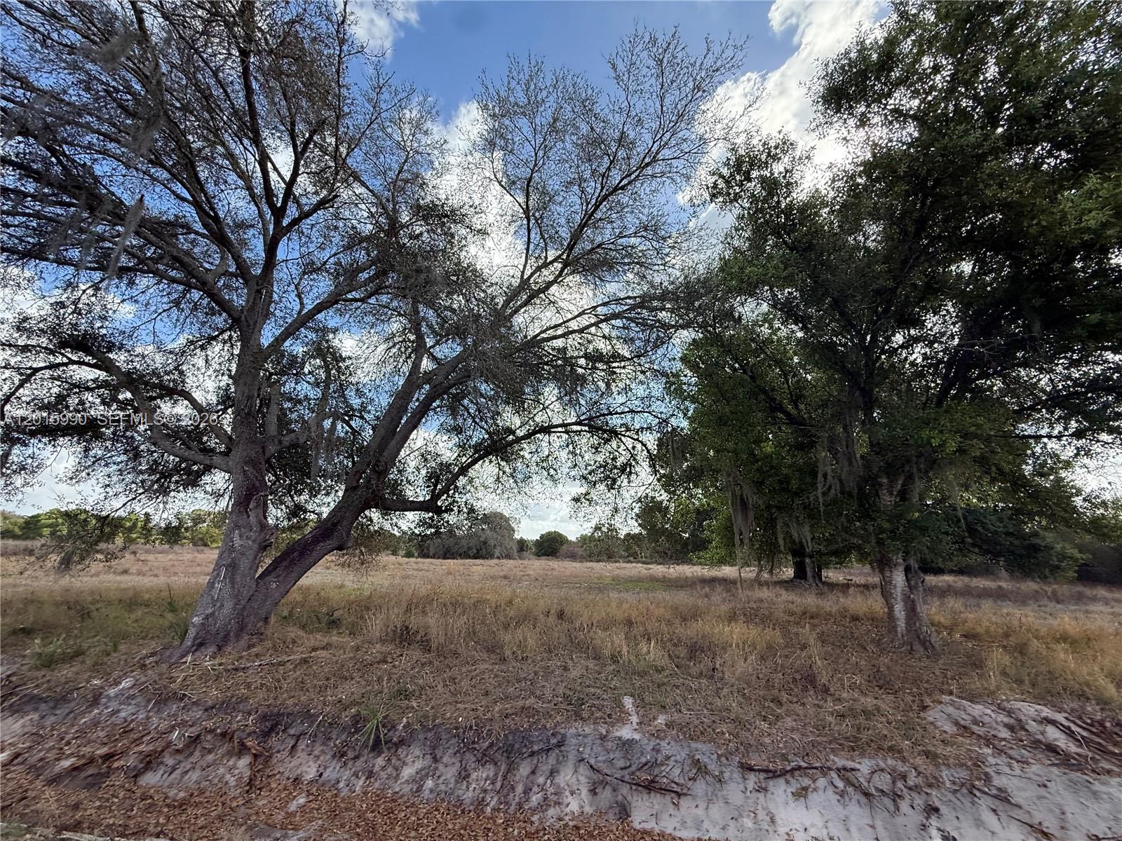 MONTURA RANCH ESTATES - Land