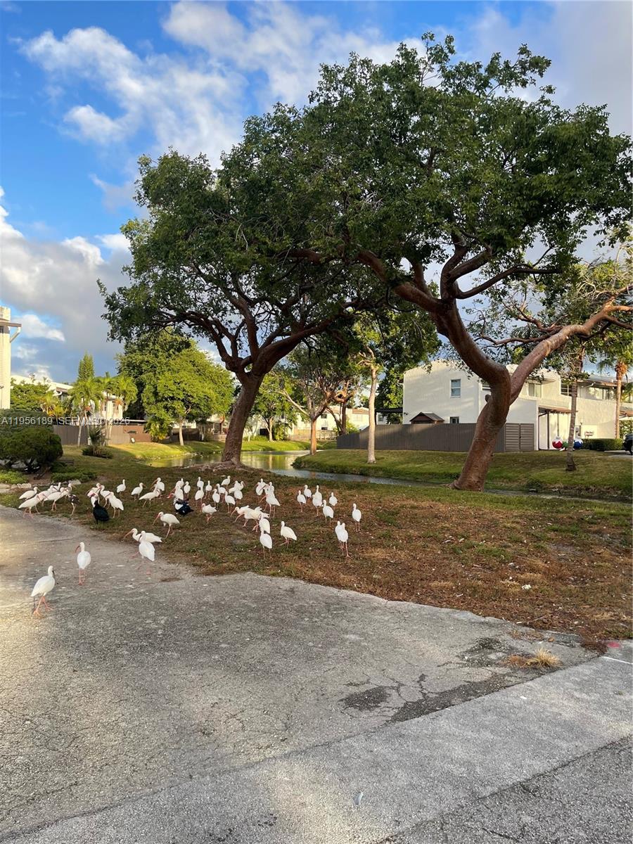 SNAPPER CREEK TOWNHOUSES - Residential Lease