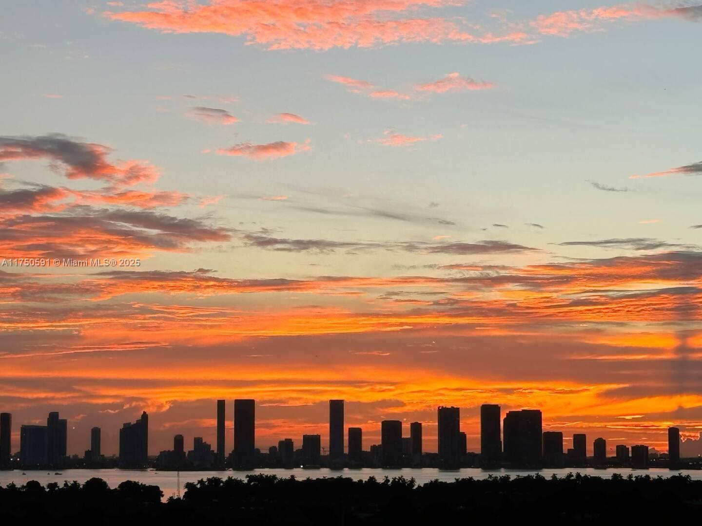 2301 Collins Ave 1534