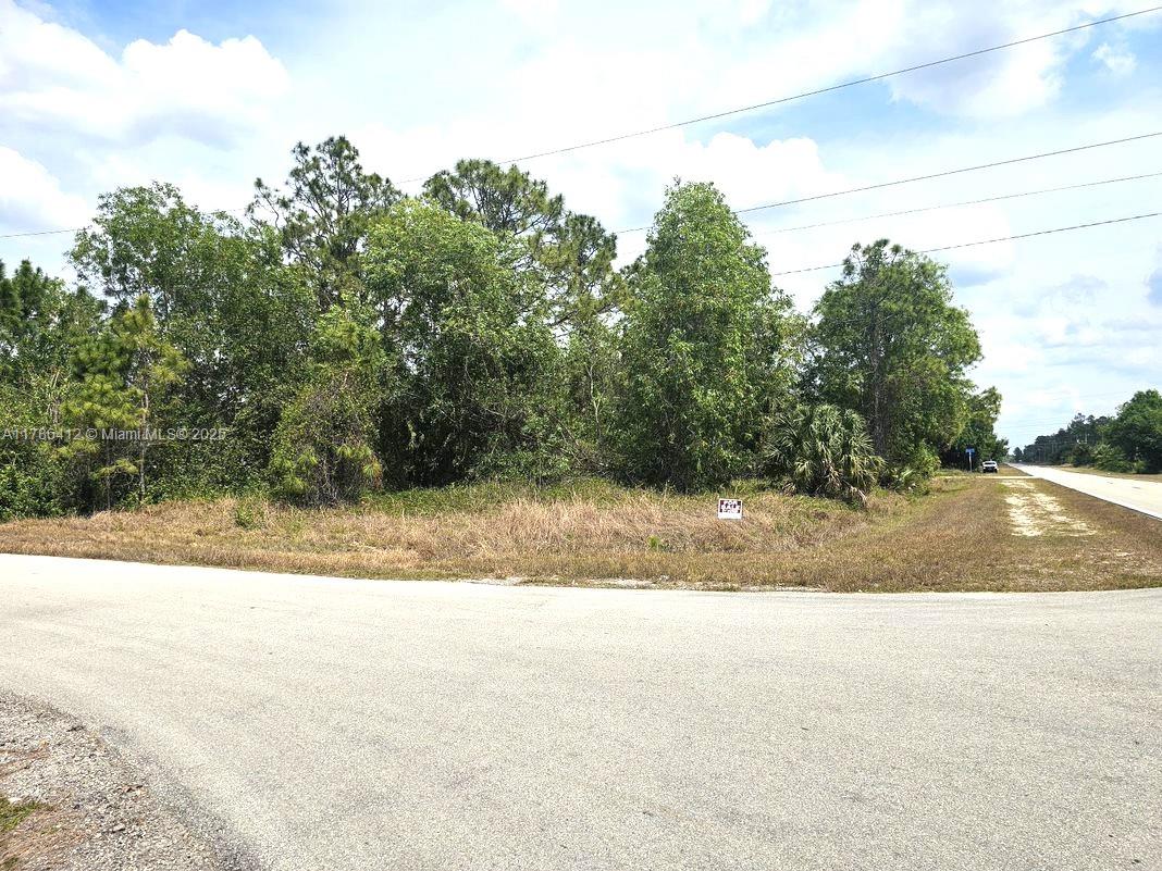 Prime 0.30 Acre Corner Residential Lot in Rapidly Growing Lehigh Acres! Community with no HOA! No Flood Zone! Easy access to Joel Blvd, Highway 82, and Palm Beach Blvd (Highway 80), located just minutes from LaBelle, Fort Myers, and Cape Coral. This lot is ideally located near a wide variety of parks and nature preserves, including Veterans Park, Lehigh Acres, Trailhead Park Lehigh Acres Park and more… Whether you're into fishing, kayaking, hiking, or enjoying athletic facilities, this location offers something for everyone. Don't miss the opportunity to invest in one of Southwest Florida's most exciting up-and-coming areas!