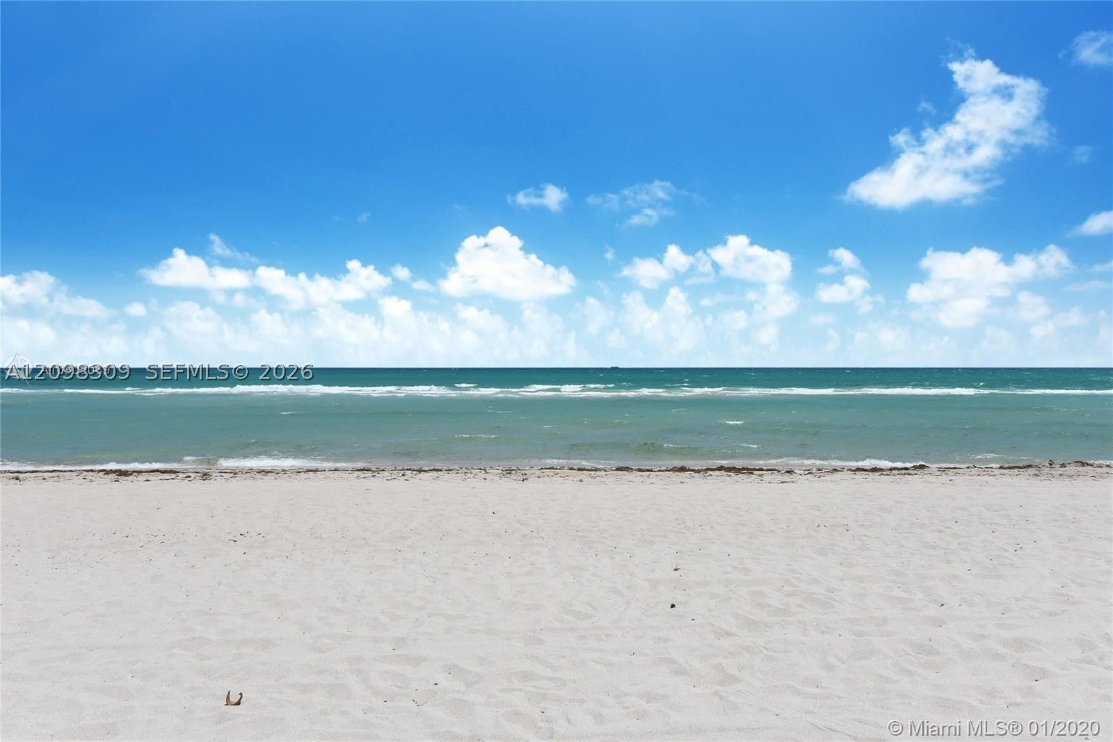 5055 Collins Ave CAB16