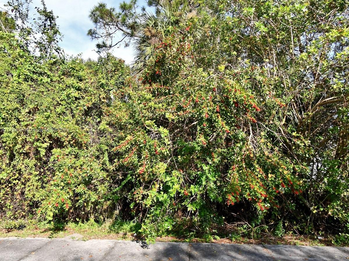 FOSTER'S SUBDIVISION - Land