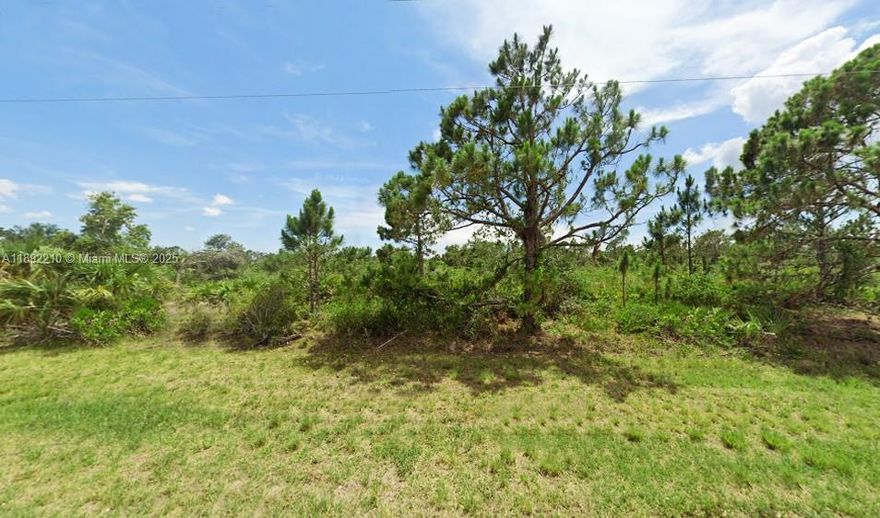 Great Opportunity to Build your dream home! No HOA's, NO CDD's Ready and waiting to build. Very nice lot. The Vacant Lot is located in a sought-after well-established neighborhood. Just minutes from everything. Close to MLB Spring training parks, beautiful beaches, golf, fishing, medical, shopping mall, airports and dining. Easy on and off access to route 75 and route 41.  Utilities available: Water, Electrical.
Ask about our Builder Partners.