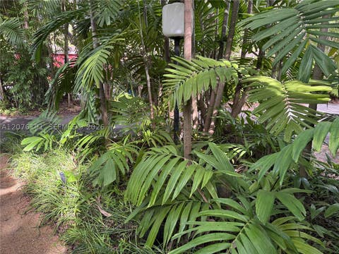 Tiny photo for 3024 Day Ave #3024, Miami, FL 33133 (MLS # A12076191)