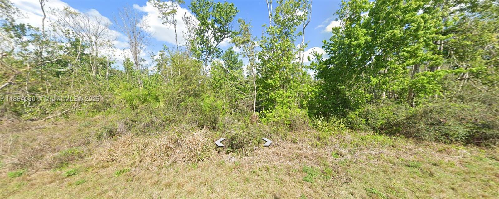 LEISURE LAKES - Land