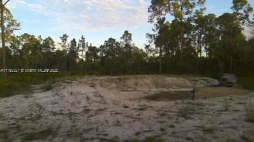 .25 Acre Beautiful lot centrally located in a city that grows every day near Fort Myers, Naples, Beaches. Don't miss it because it won't last long, you can build the house of your dreams or investment. THIS LOT HAS A BUILDING PERMIT IN PROCESS AND IS INCLUDED IN THE PRICE . PERMIT NUMBER Record RES2023-01228: Residential New Primary Structure
Approx. Lot Size: 0.25