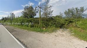 MIAMI LAND & DEVELOPMENT - Land