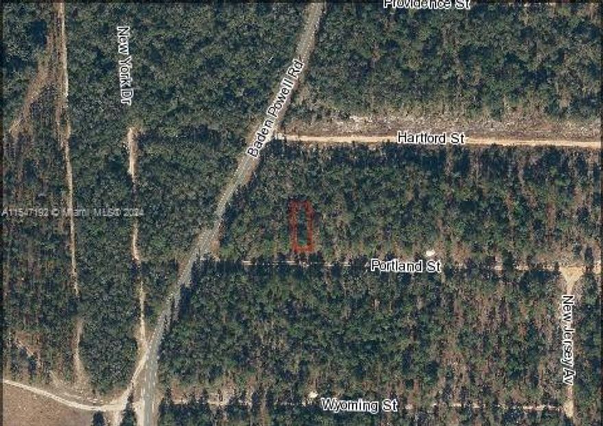 A REWARDING ESCAPE PEACEFULLY LOCATED IN HAWTHORNE, OCALA! Great Investment opportunity! Bring your Smores to the Campfire and Build your Dream Home!
