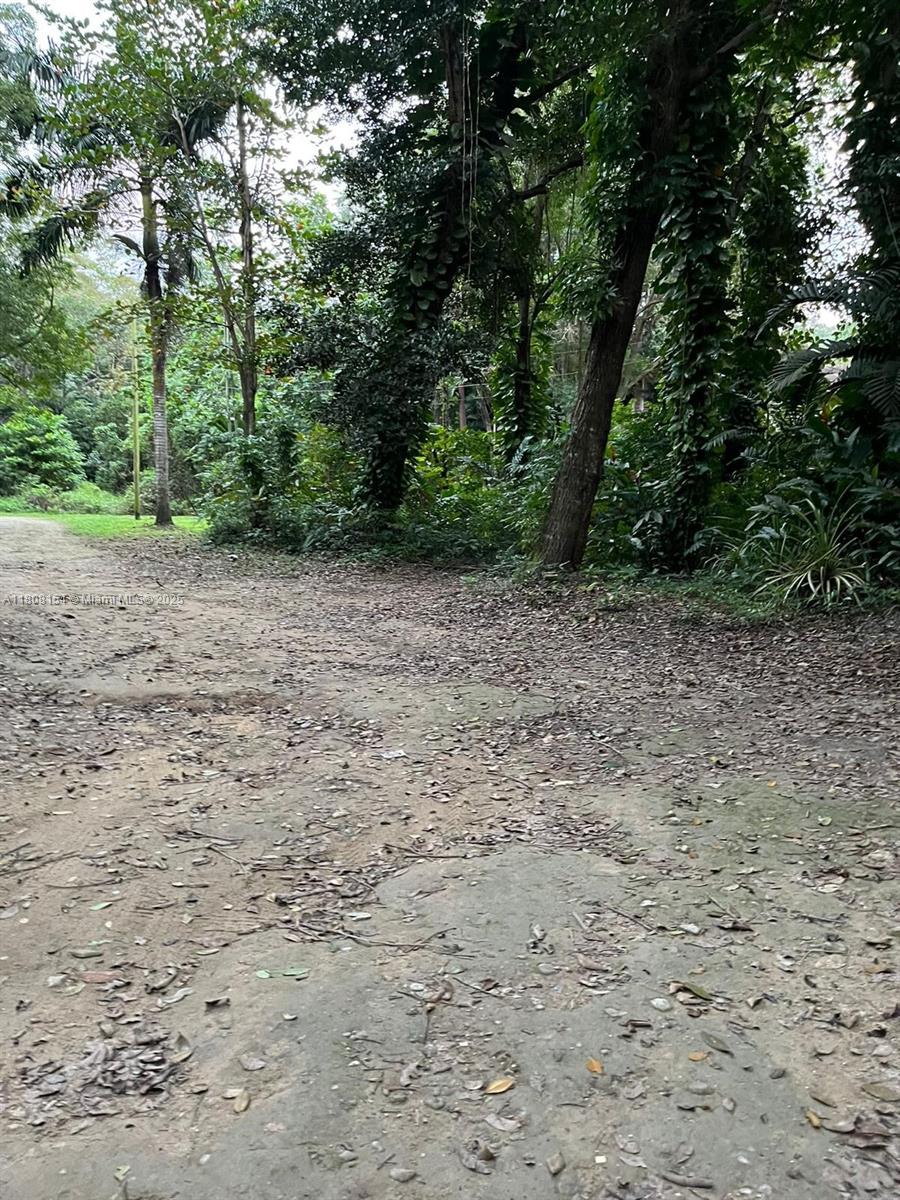00 St. Ann, Jamaica