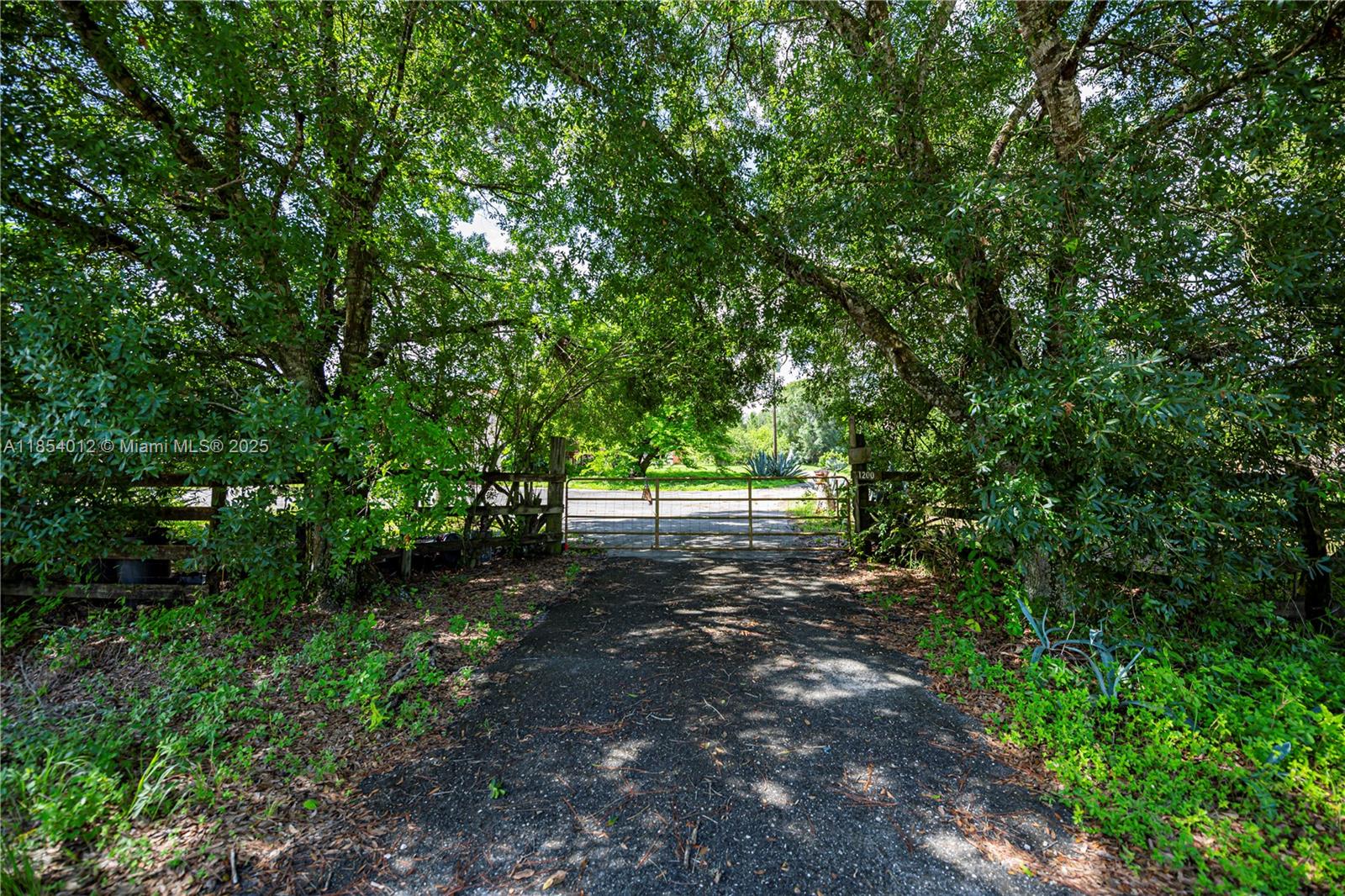 Pioneer Plantation - Residential