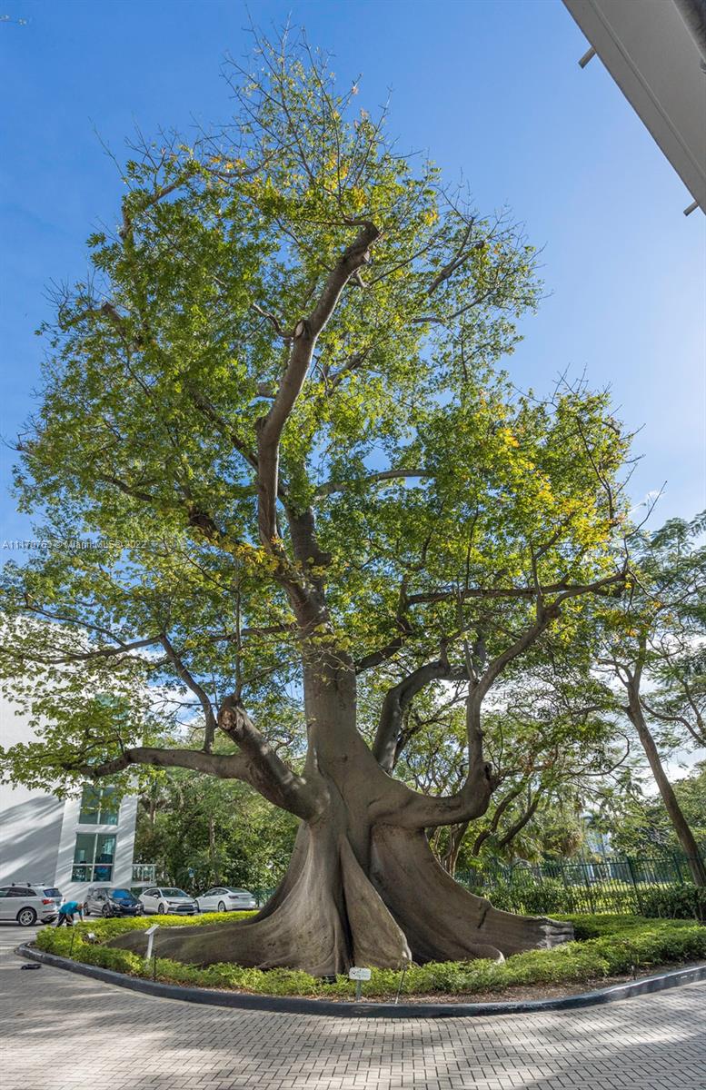 TERRAZAS RIVERPARK VILLAG - Residential