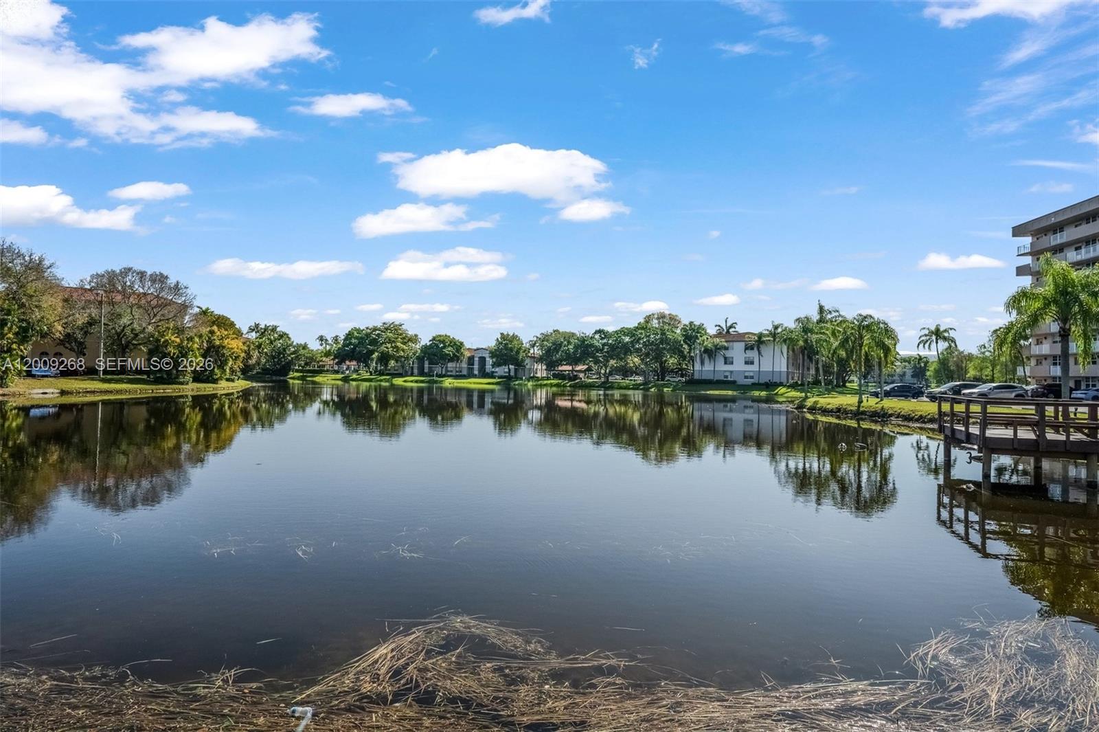 CORONADO AT JACARANDA PHA - Residential