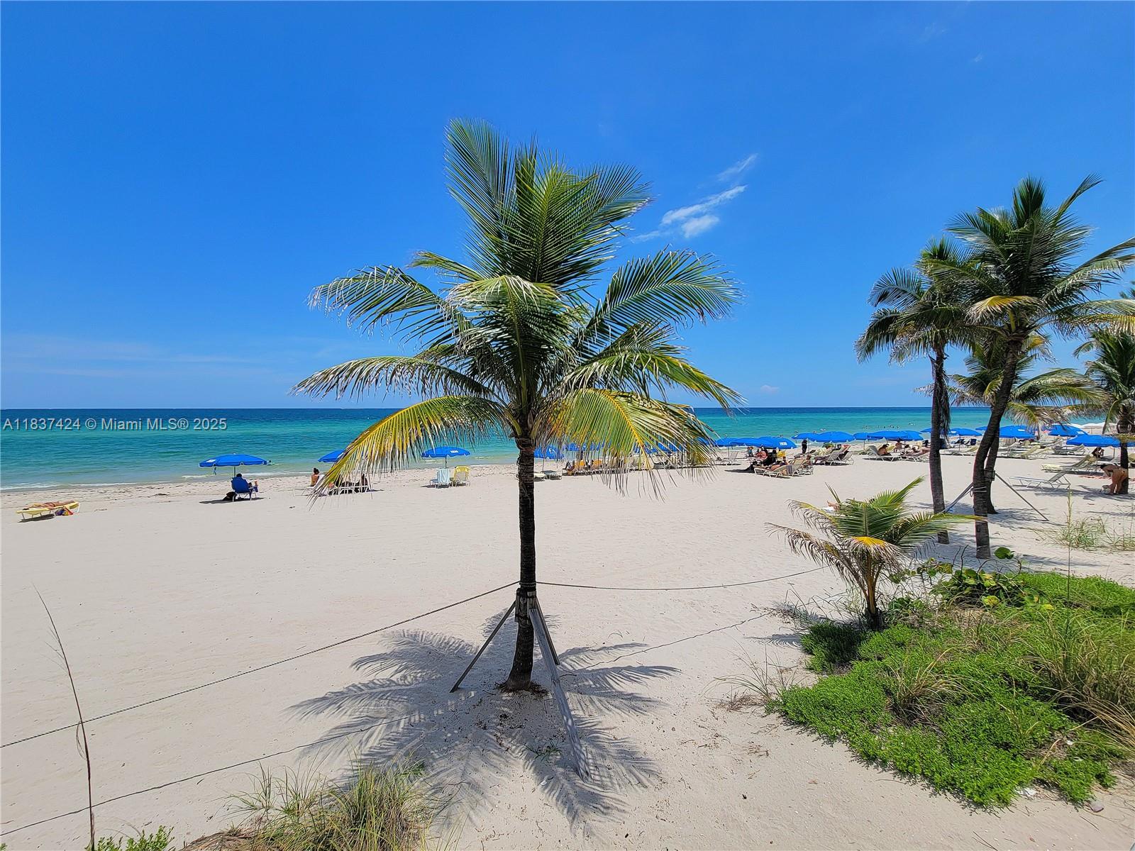 PARKER PLAZA CONDO ESTATE - Residential