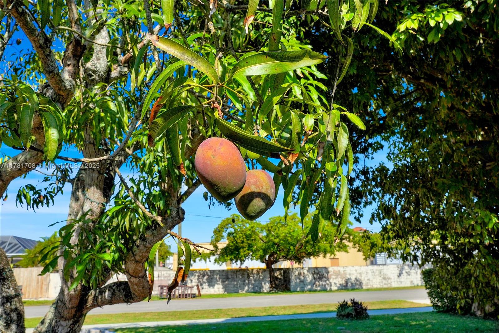 LAWIL SUB - Residential