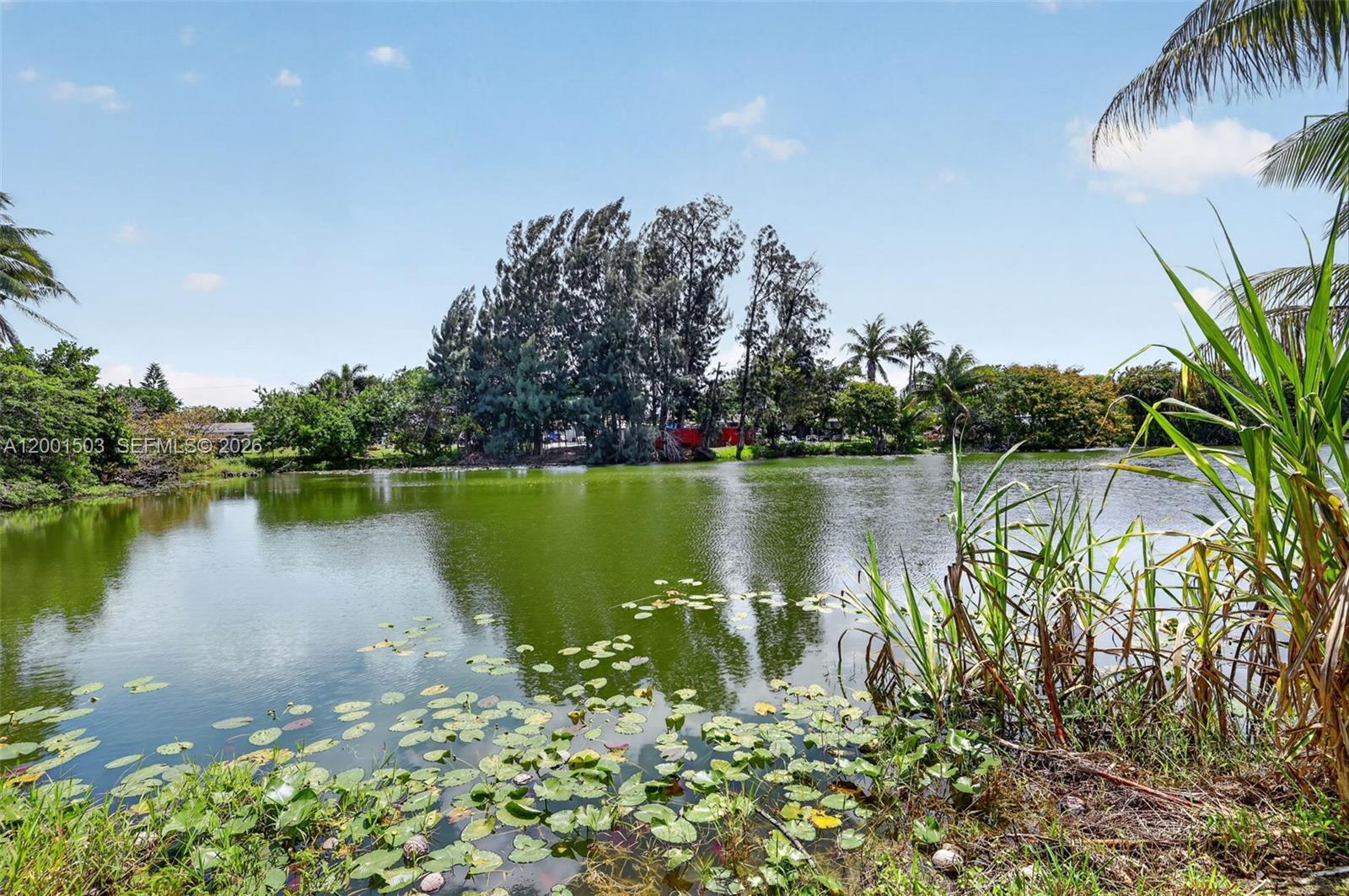 SPRINGBANK PARK SEC 2 - Residential