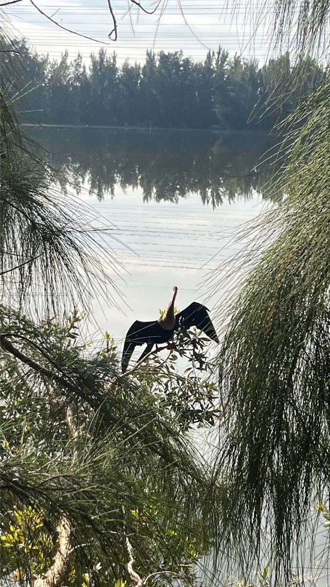 BEL-AIRE SECTION SIX COND - Residential