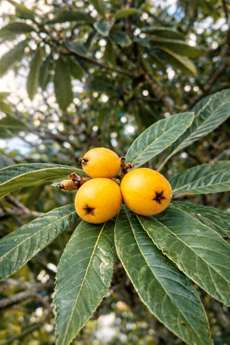 SANDERS PARK - Residential