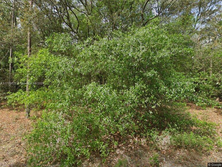INTERLACHEN LAKES ESTATES - Land