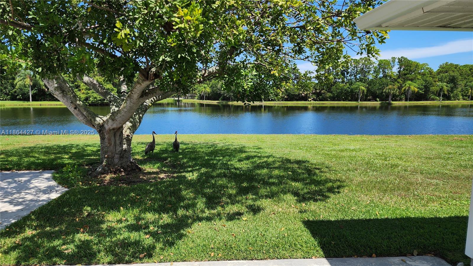 DUCKWOOD - Residential