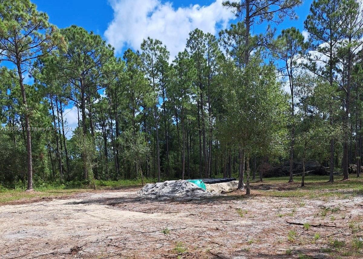 Build the house of your dreams on over an acre in Montura Ranch Estates. Land is cleaned and ready to build you own home. Property faces East and features, a well, driveway, and a septic tank added. The land is ready to build. Close to main road just 20 minutes from Lewiston.