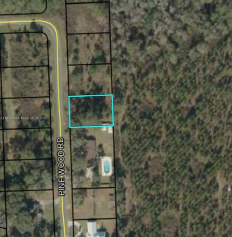 641 PINE WOOD RD Other FL 32052