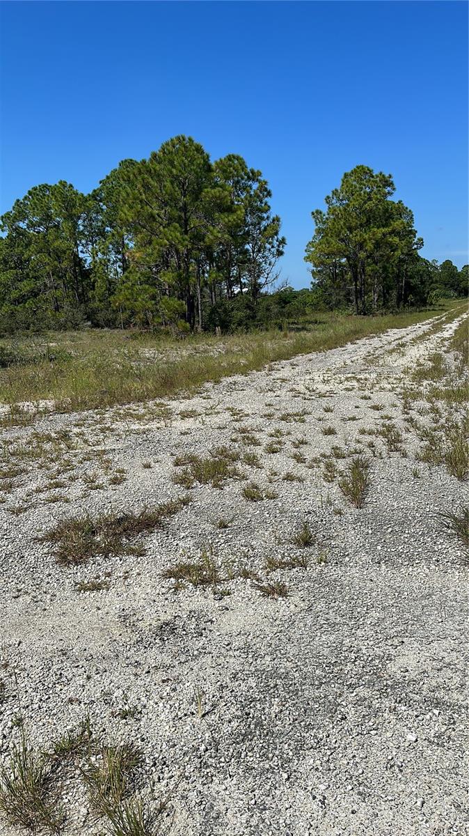Residential lot in Lake Placid, Utility and Paved roads closely, area is coming up, lot is couple of blocks from Lake Grassy, buy now and build later.