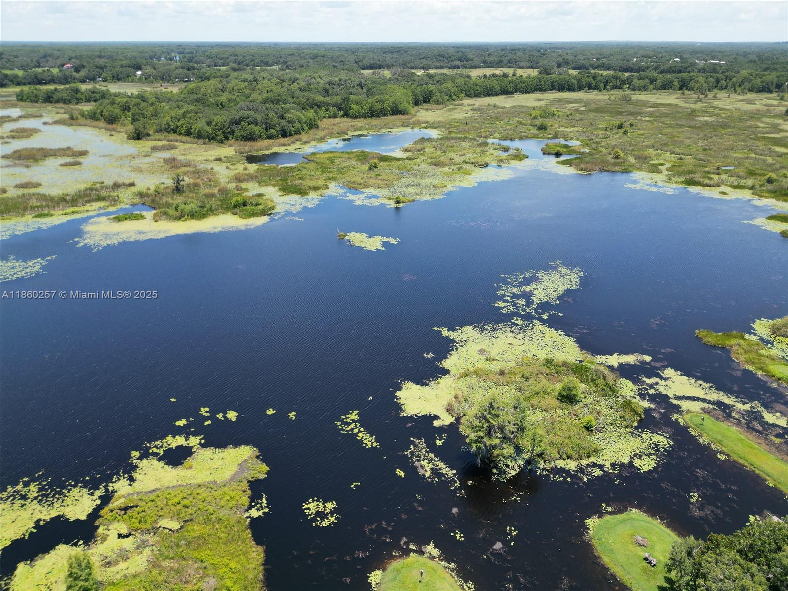 LAKE SHORE - Residential Income