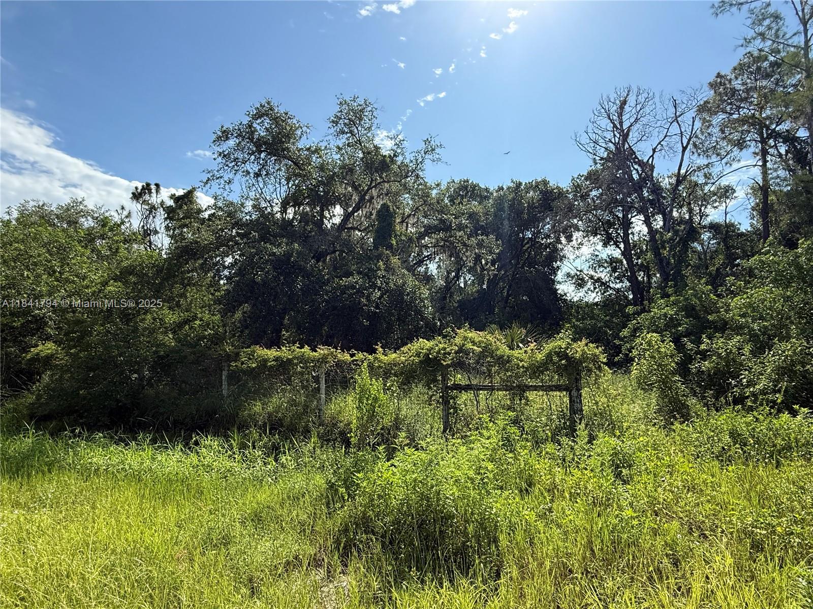 1.25 ACRES AT THE NORTH OF MONTURA RANCH ESTATES, PINE CONE AVE & JINETE ST! FULLY FENCED, CURB AND CLEARED LOT ! PRICE TO SELL FAST!! BEST OPTION IN THE MARKET! NO WETLAND! GREAT INVESTMENT OPPORTUNITY! YOU CAN BUILD YOUR DREAM HOUSE OR INSTALL YOUR MOBILE HOME ENDLESS POSSIBILITIES!!! YOU CAN HAVE YOUR WEEKEND GETAWAY FROM THE CITY, JUST 65 MILES FROM WESTON, 90 MILES FROM MIAMI, YOU CAN HAVE YOUR FARM ANIMALS AND ENJOY THE CAMP STYLE OF MONTURA RANCH ESTATE YOU CAN GO DIRECTLY TO THE PROPERTY AND CALL ME OR TEXT ME IF YOU NEED ANY EXTRA INFORMATION
