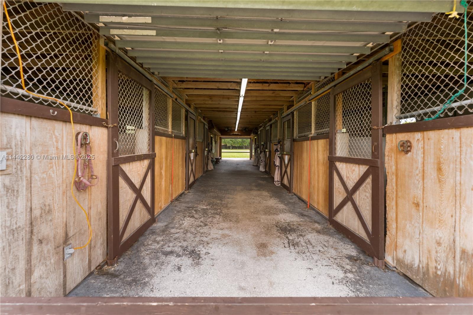 Horse Country - Land