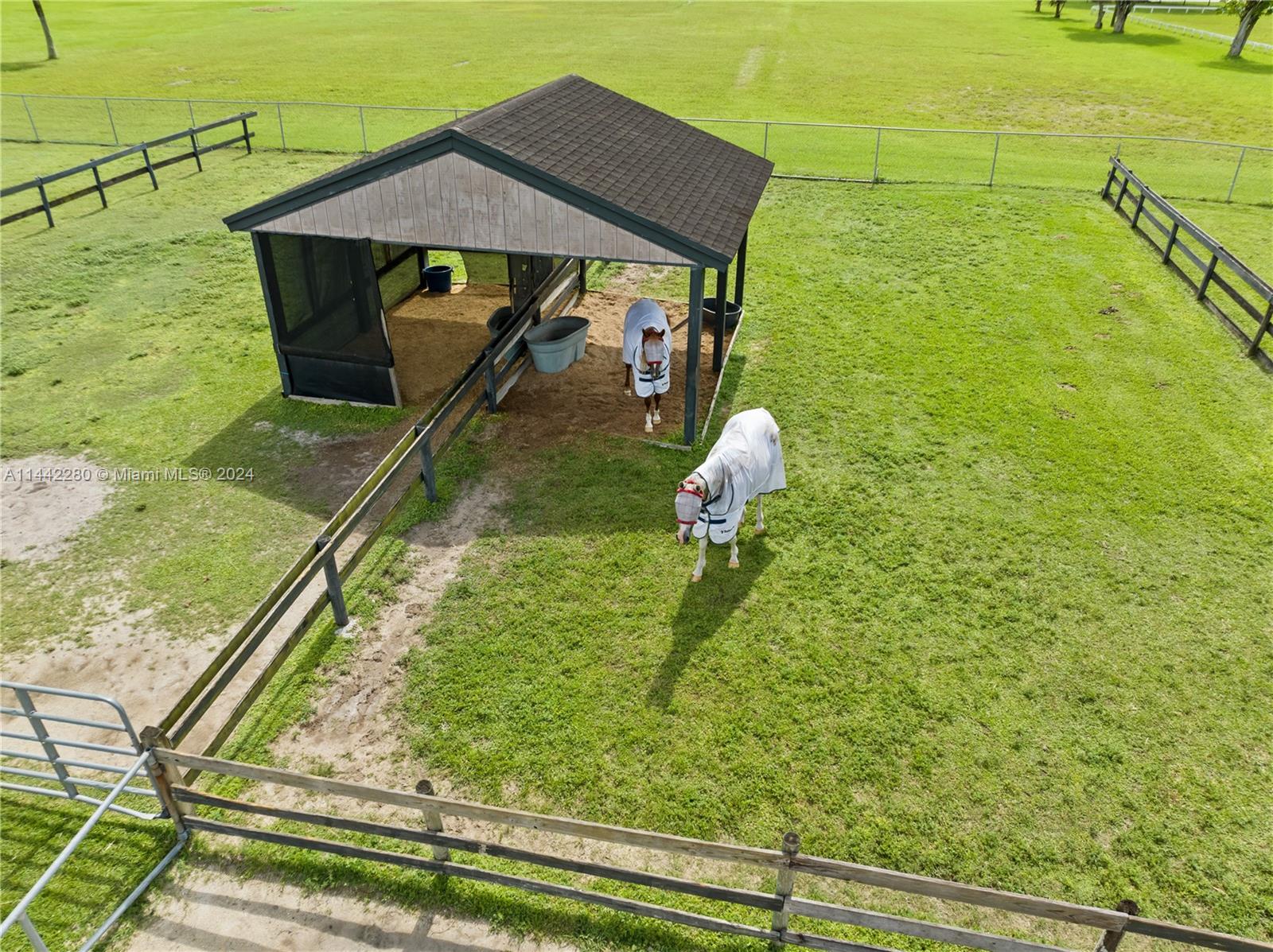 Horse Country - Land