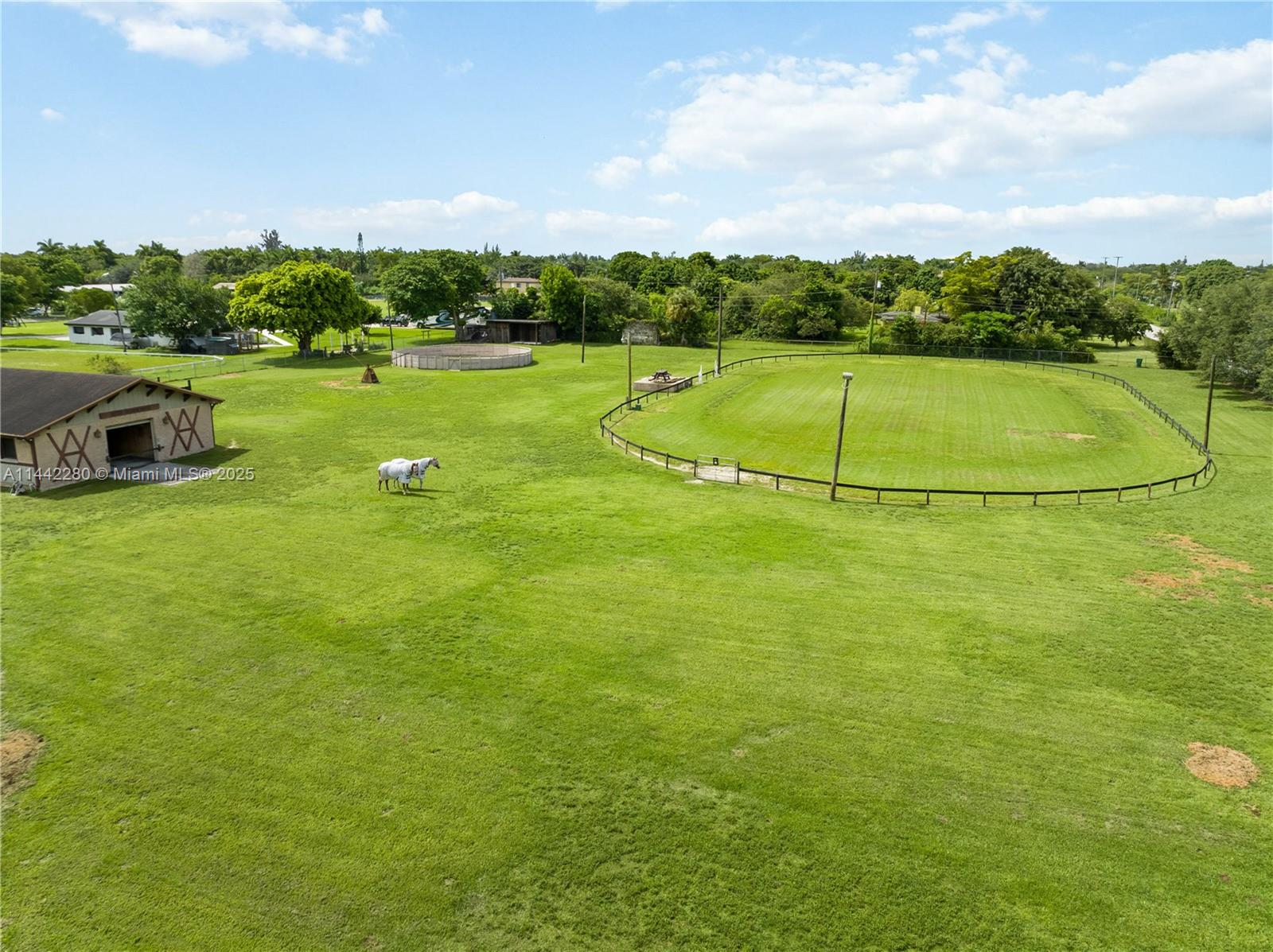 Horse Country - Land