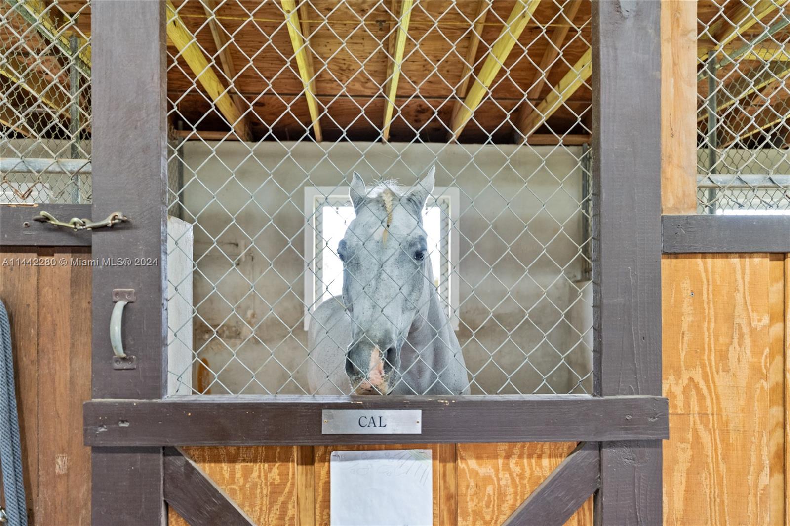 Horse Country - Land