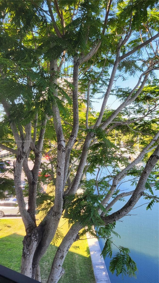 ENSENADA CONDO BLDG E-II - Residential