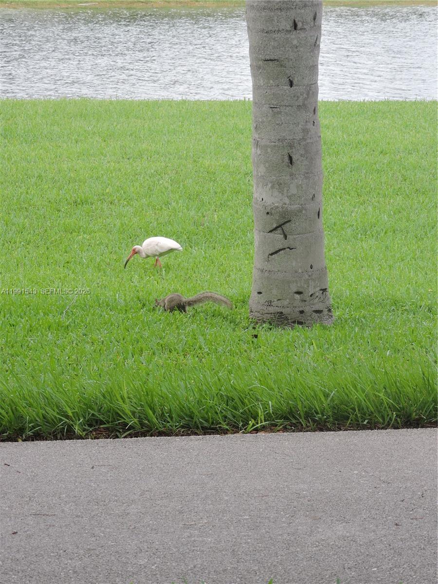 VIZCAYA AT THE HAMMOCKS 1 - Residential Lease