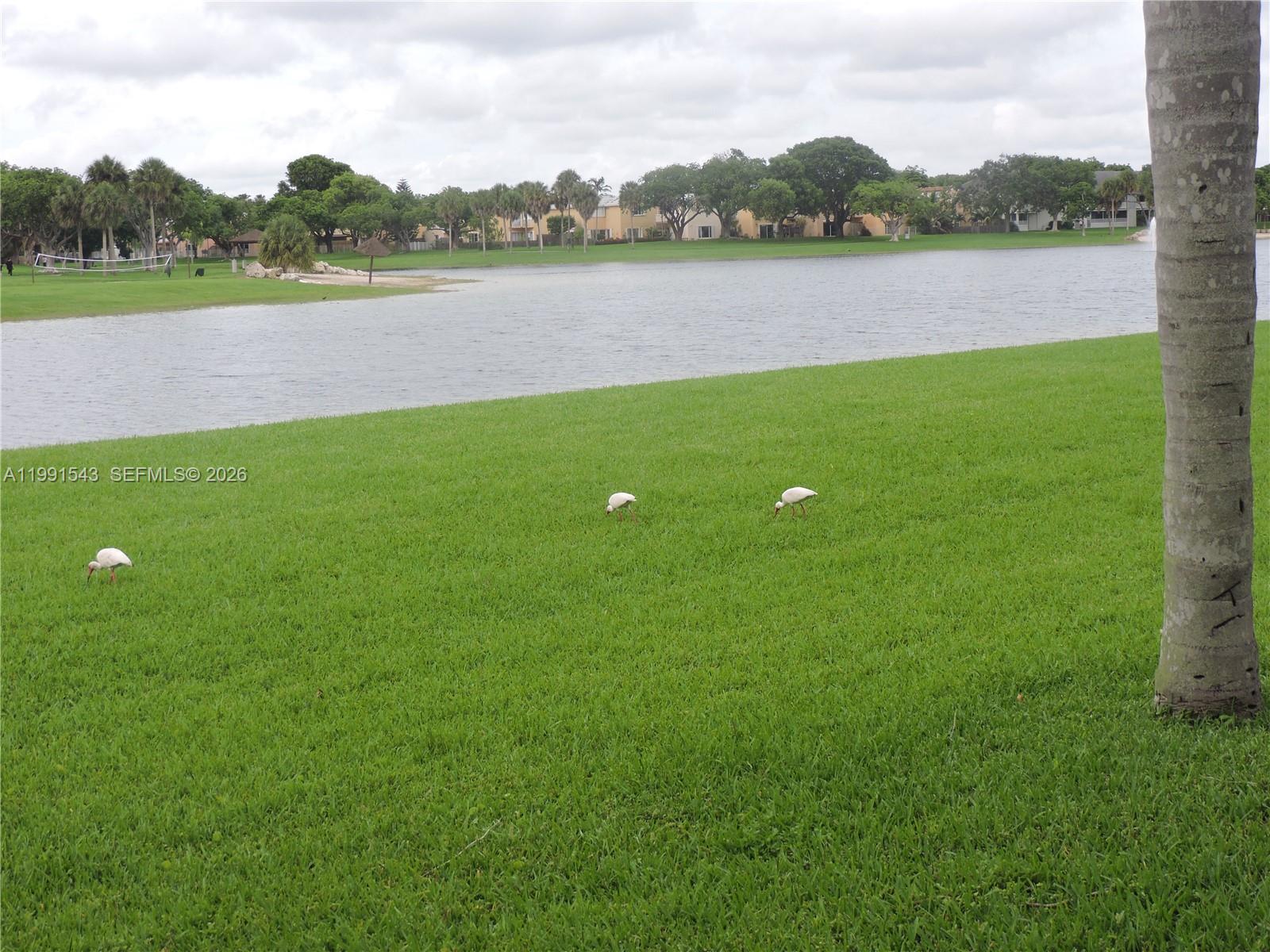 VIZCAYA AT THE HAMMOCKS 1 - Residential Lease
