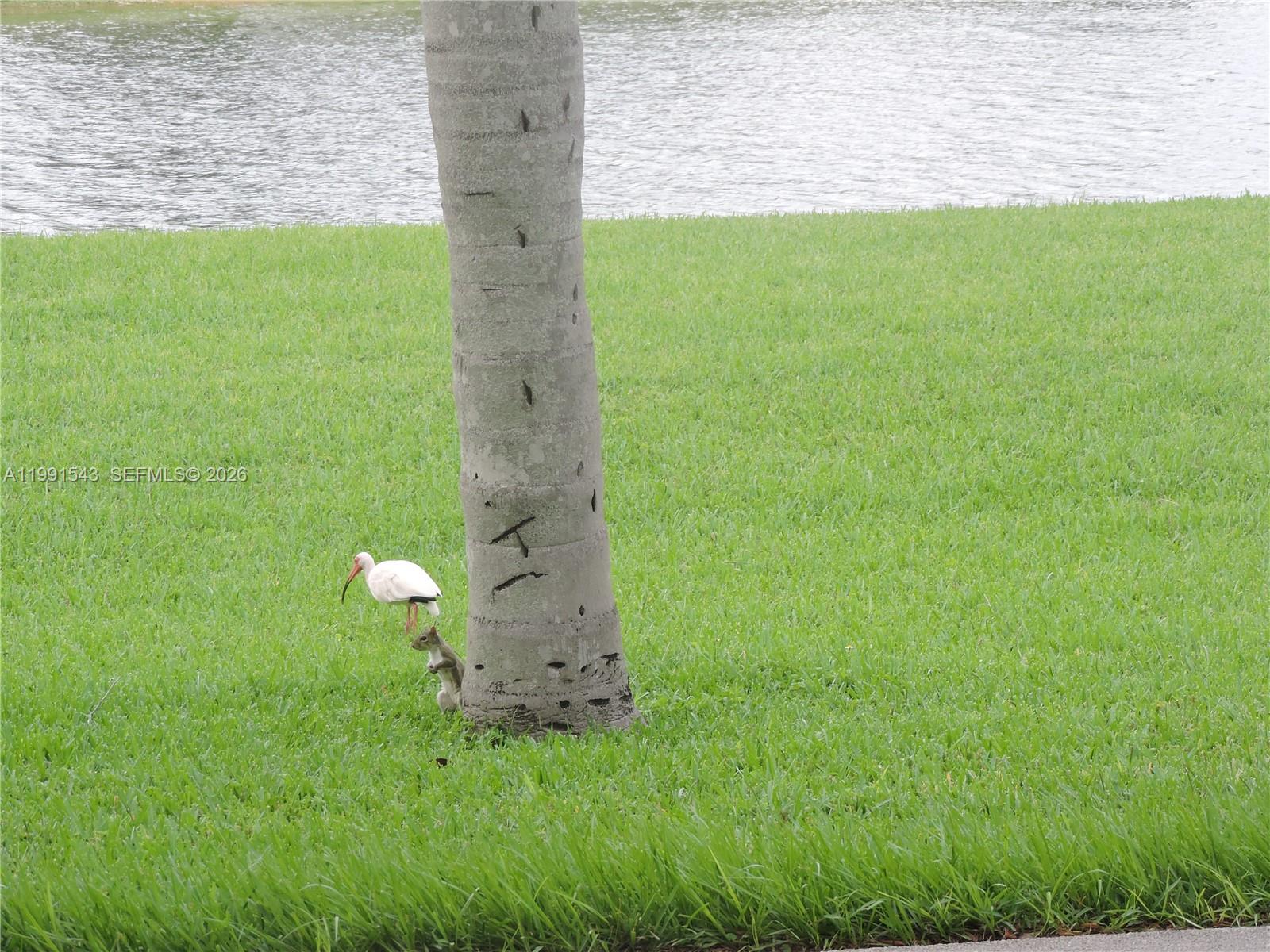 VIZCAYA AT THE HAMMOCKS 1 - Residential Lease