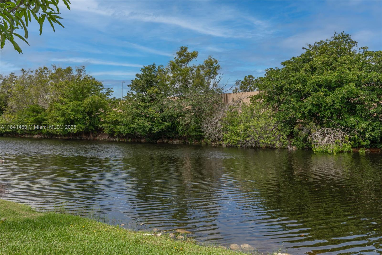 FAIRWAYS AT EAGLE TRACE - Residential