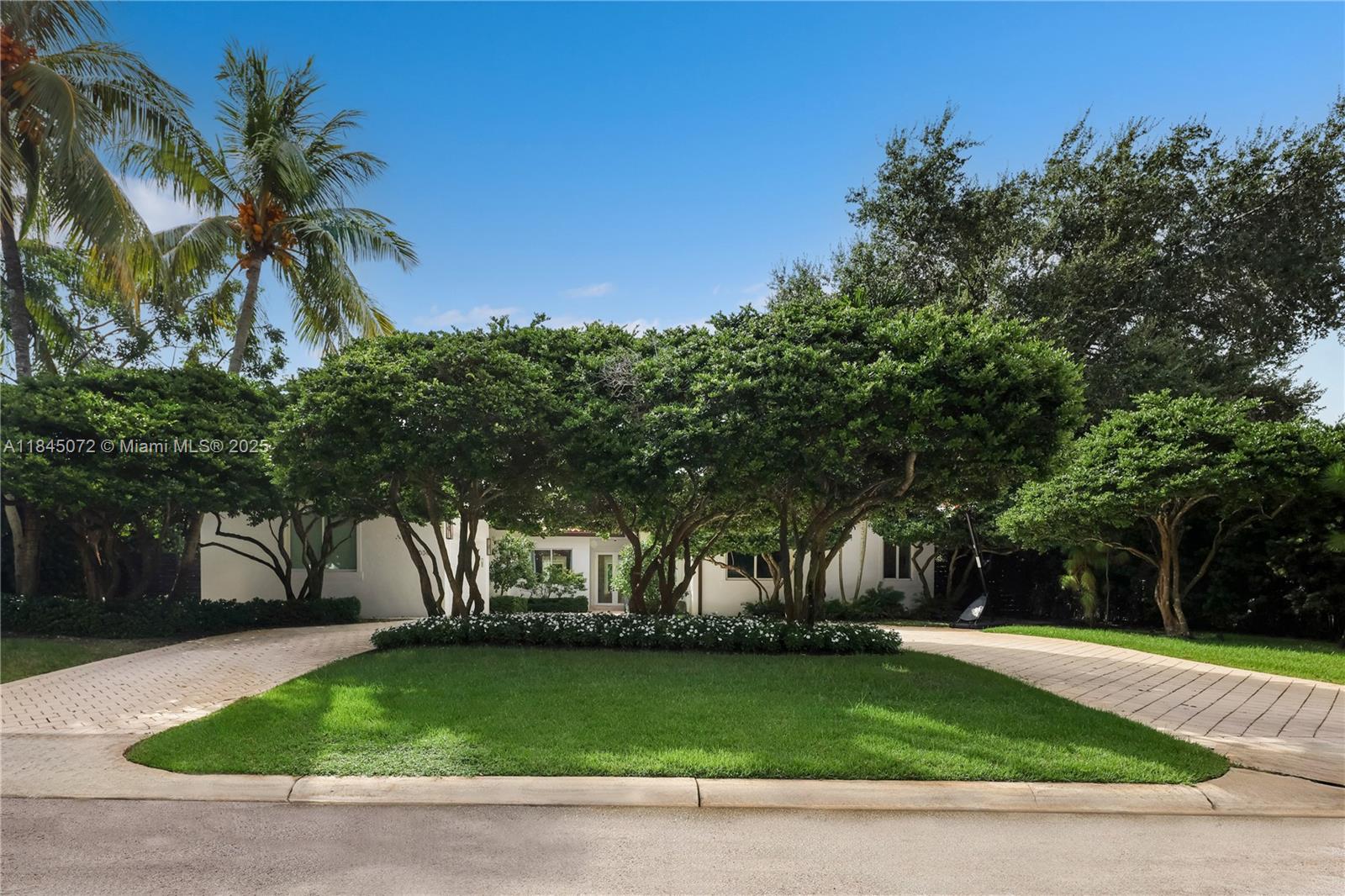 636 Melaleuca