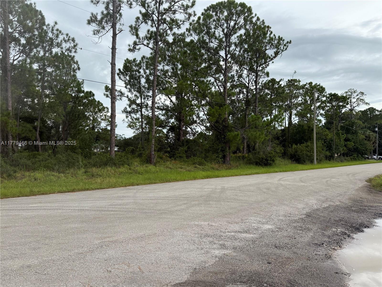 Welcome to your future homesite at 120 Enos Ave, Lake Placid, FL! Known as the "Town of Murals," Lake Placid is famous for its vibrant art scene and beautiful lakes, making it an ideal location for those who appreciate both culture and nature.
Located just minutes from the picturesque Lake June-in-Winter and Lake Placid, outdoor enthusiasts will love the easy access to boating, fishing, and water sports. For your everyday needs, nearby businesses include Publix Super Market at Lake Placid, and local favorites like Jaxson's on the Lake for dining.
Don't miss the opportunity to build your dream home. Come and experience the beauty and tranquility of Lake Placid today!