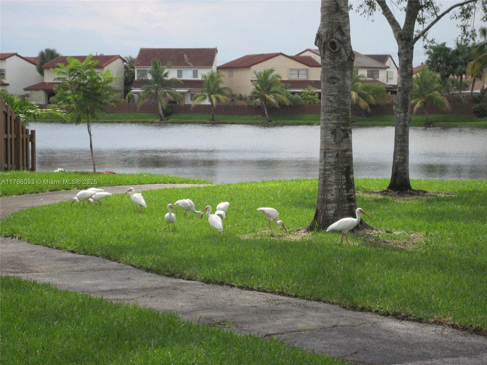 TAMIAMI LAKES SEC 5 - Residential Lease