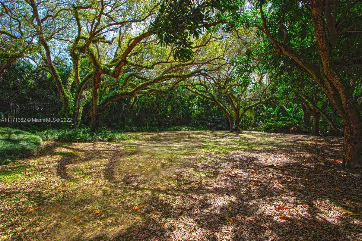 MARY W DORN HOMESTEAD - Residential