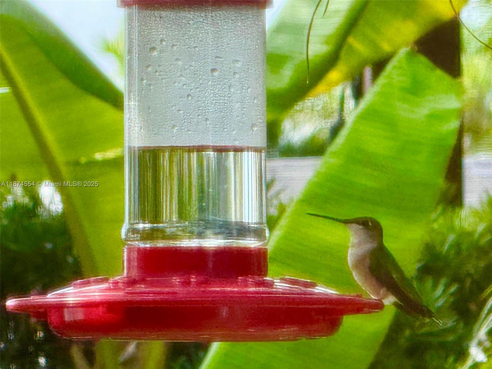 KENDALE LAKES SEC THREE - Residential