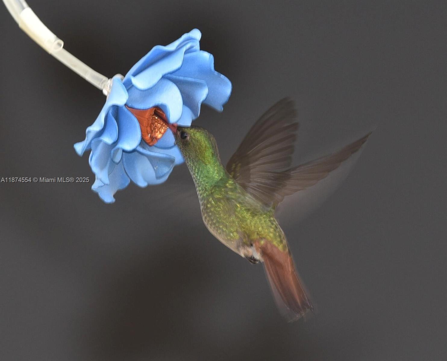 KENDALE LAKES SEC THREE - Residential