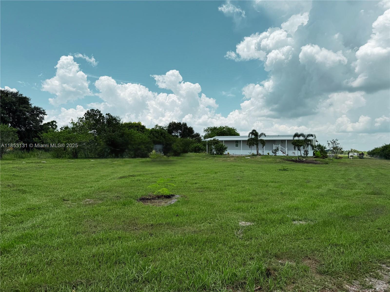 1321 BLUFF HAMMOCK RD