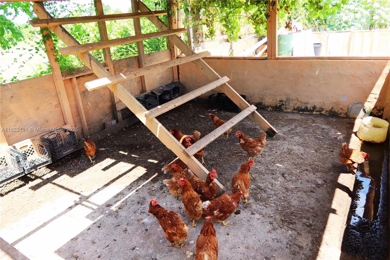 HOLIDAY LAKE AREA - Residential