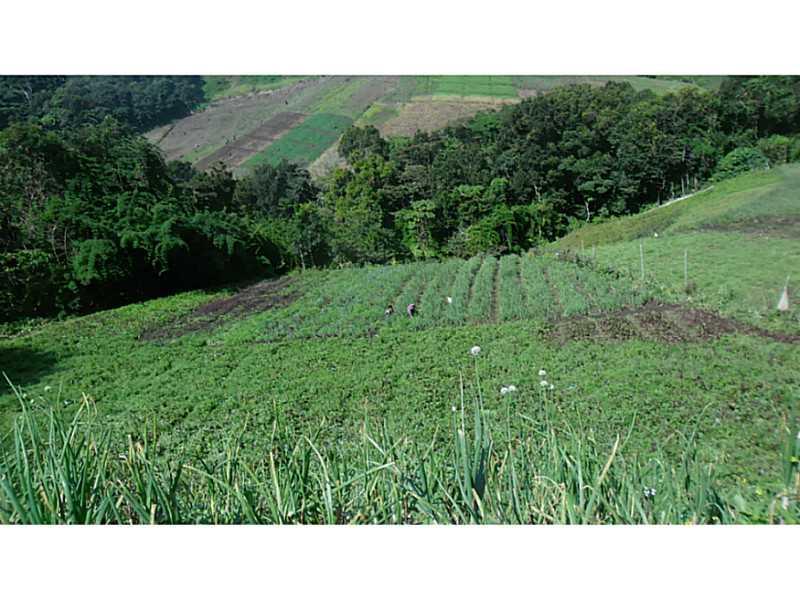 Cerro Punta, Panama - Land